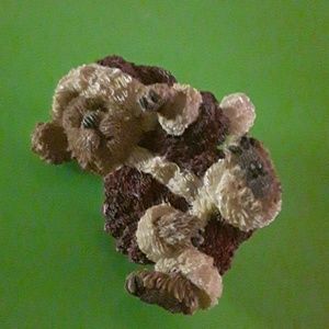 Christmas Teddy Bear Brooch